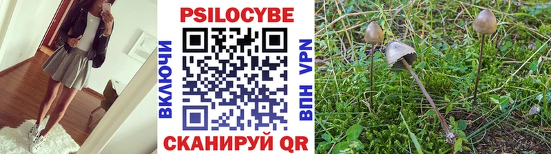 Псилоцибиновые грибы GOLDEN TEACHER  Льгов 