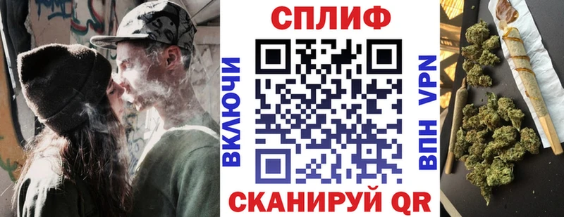 Бошки Шишки ГИДРОПОН  закладка  Льгов 